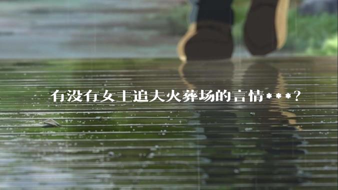 有没有女主追夫火葬场的言情***？