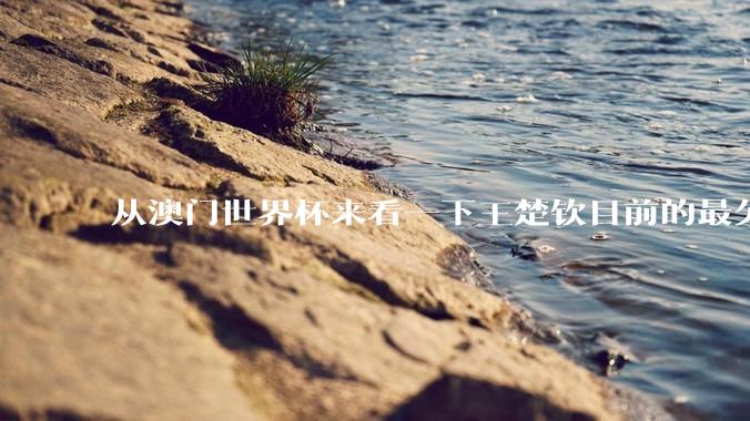 从澳门世界杯来看一下王楚钦目前的最欠缺的东西是什么？