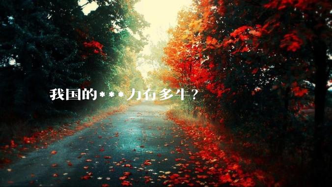 我国的***力有多牛？
