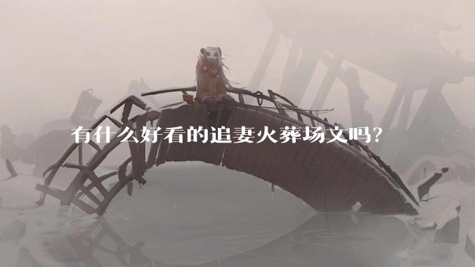 有什么好看的追妻火葬场文吗？