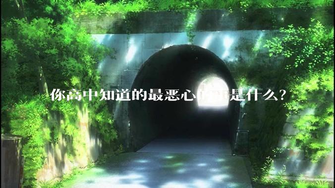 你高中知道的最恶心的事是什么？