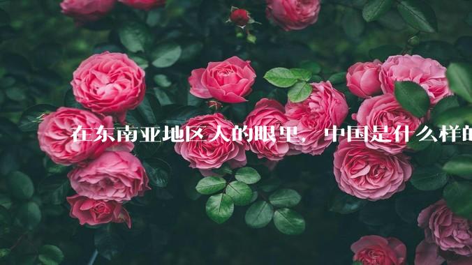 在东南亚地区人的眼里，中国是什么样的？