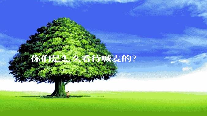 你们是怎么看待喊麦的？